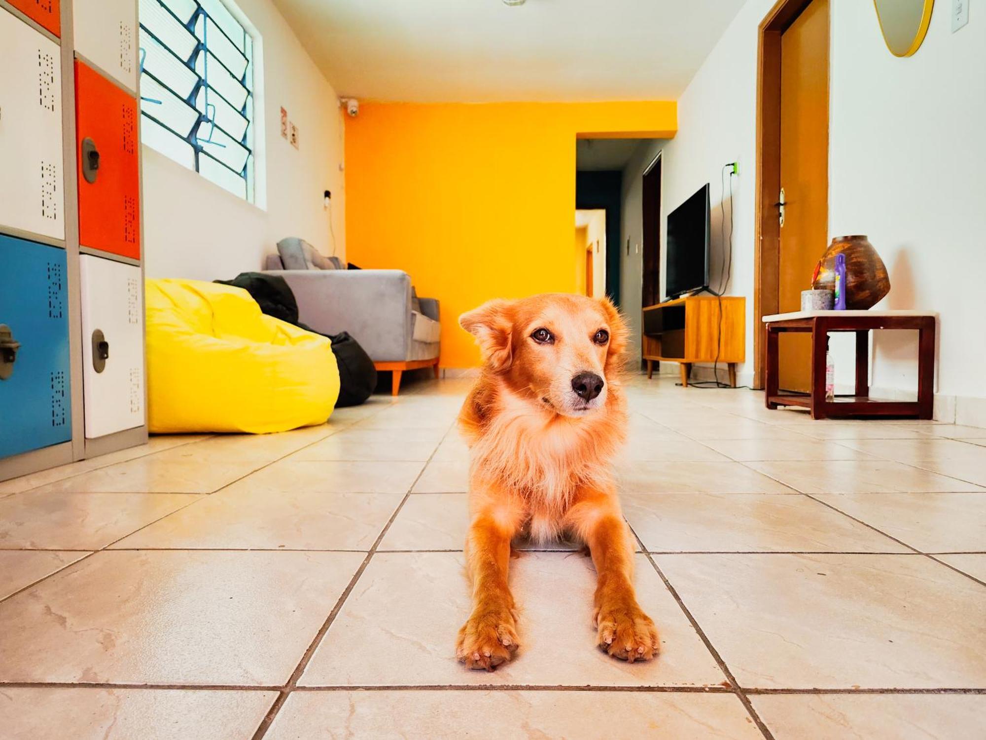 Hostel Trem Bao De Dormir Recife Kültér fotó